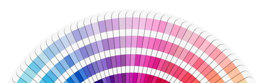 Pantone colour wheel Website design Brighton